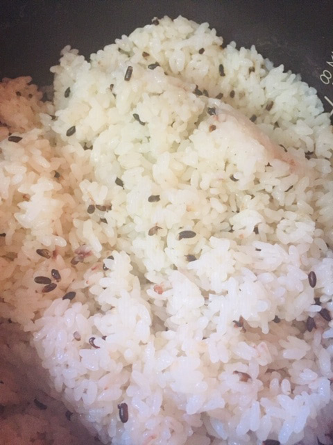 お米が美味しい時期になりました