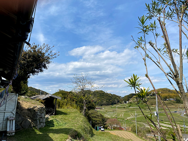 淡路島の野山は緑美しい季節がやってきました