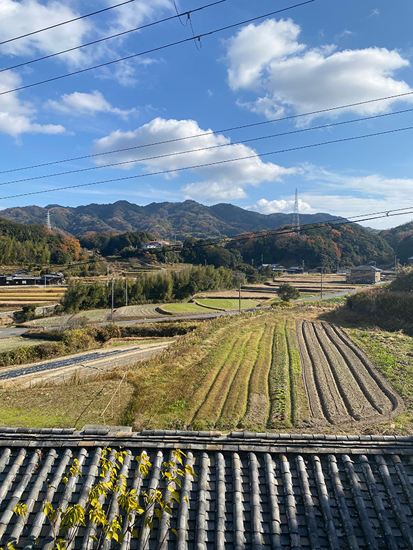 冬の淡路島の景色